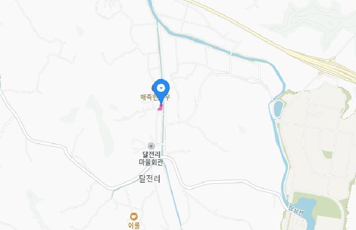 세종특별자치시 금남면 달전리 699-87 답 경매 사진 33