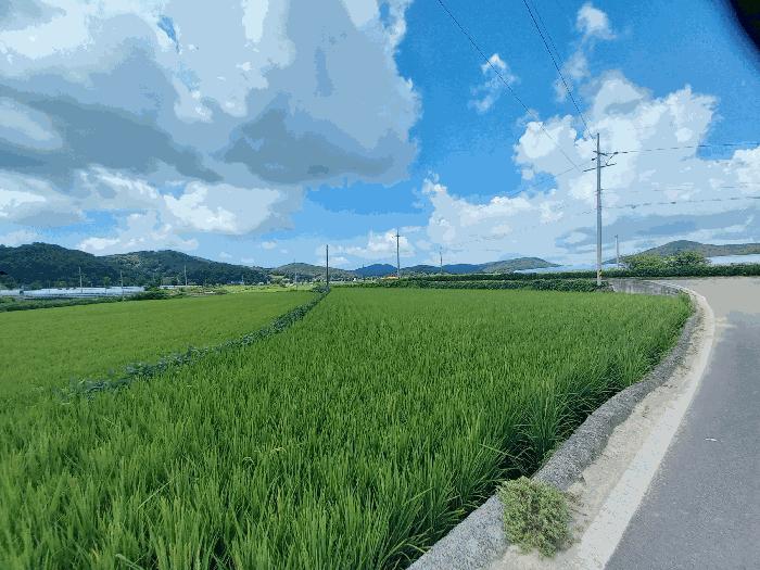 충청남도 서천군 시초면 후암리 327-5 답 경매 사진 1
