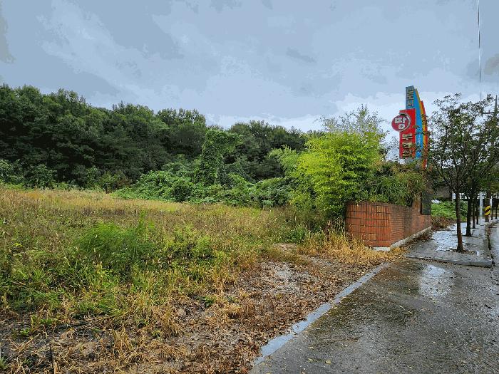 충청남도 예산군 덕산면 사동리 380 대지 경매 사진 3