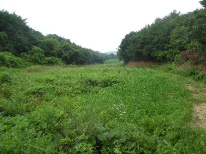 충청남도 서산시 해미면 오학리 42-6 답 경매 사진 30