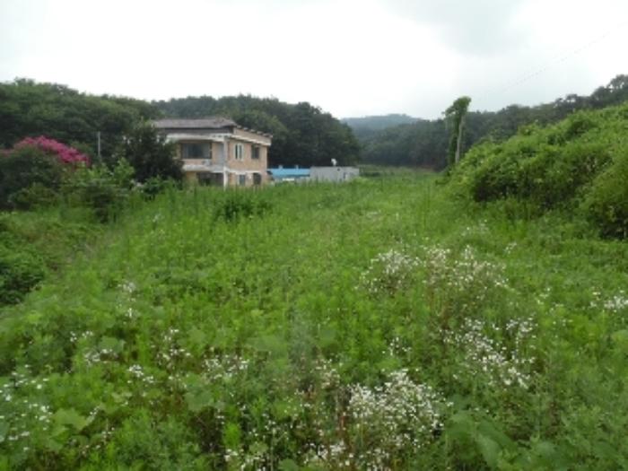 충청남도 서산시 해미면 오학리 42-6 답 경매 사진 57