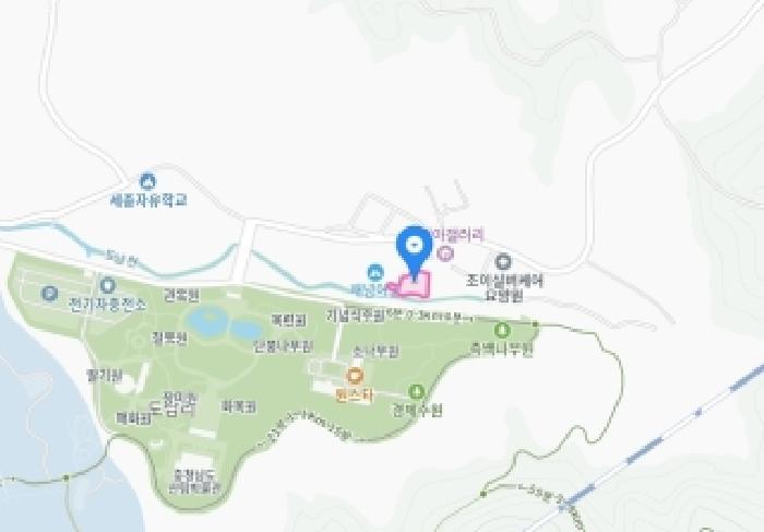 세종특별자치시 금남면 도남리 9 답 경매 사진 35