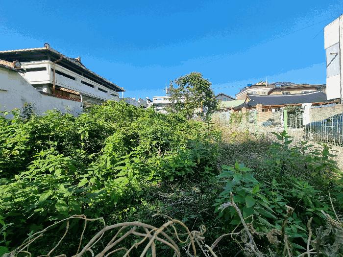 충청남도 금산군 금산읍 상리 14-16 대지 경매 사진 2