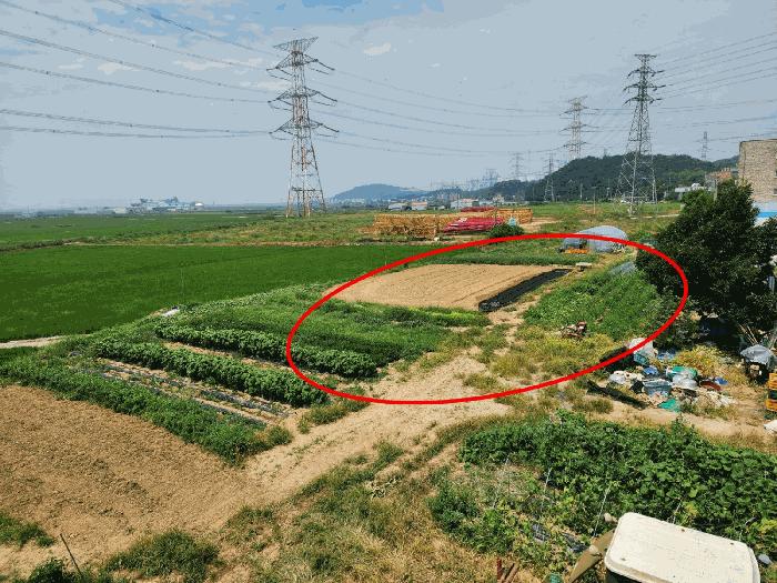 충청남도 당진시 석문면 교로리 839 답 경매 사진 10