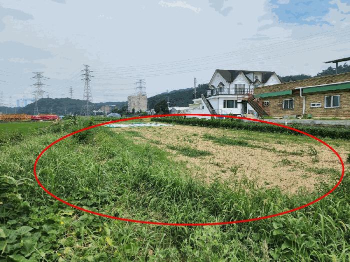 충청남도 당진시 석문면 교로리 839 답 경매 사진 11