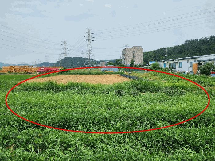 충청남도 당진시 석문면 교로리 839 답 경매 사진 12