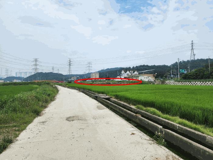 충청남도 당진시 석문면 교로리 839 답 경매 사진 13