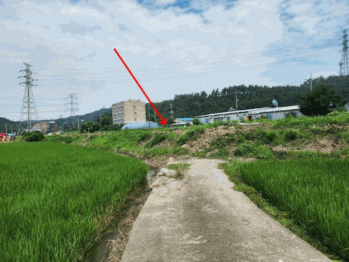 충청남도 당진시 석문면 교로리 839 답 경매 사진 3