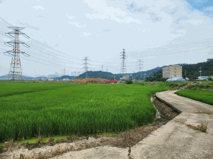 충청남도 당진시 석문면 교로리 839 답 경매 사진 6