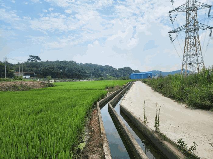 충청남도 당진시 석문면 교로리 839 답 경매 사진 7