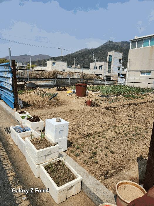 부산광역시 강서구 녹산동 1326-8 대지 경매 사진 1