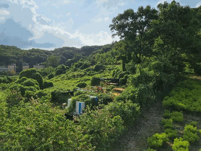 충청남도 아산시 탕정면 호산리 460-6 전 경매 사진 1