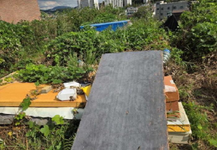 충청남도 아산시 탕정면 호산리 460-6 전 경매 사진 10