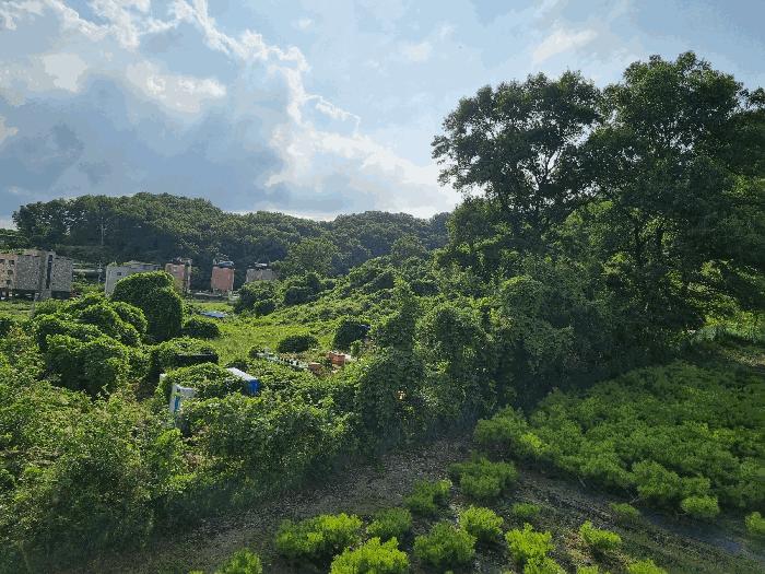 충청남도 아산시 탕정면 호산리 460-6 전 경매 사진 2