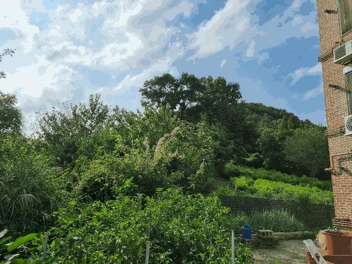 충청남도 아산시 탕정면 호산리 460-6 전 경매 사진 3
