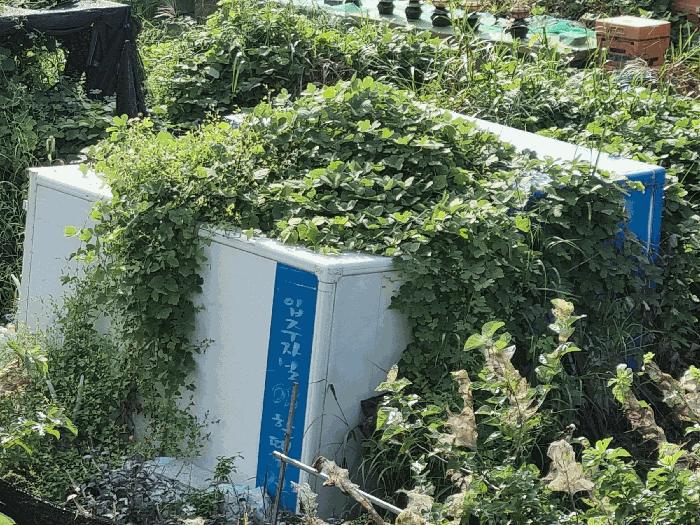 충청남도 아산시 탕정면 호산리 460-6 전 경매 사진 4