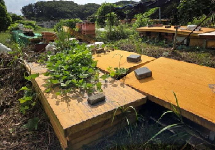 충청남도 아산시 탕정면 호산리 460-6 전 경매 사진 9