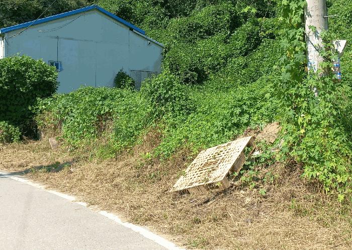 충청남도 천안시 동남구 목천읍 도장리 50 공장 경매 사진 14