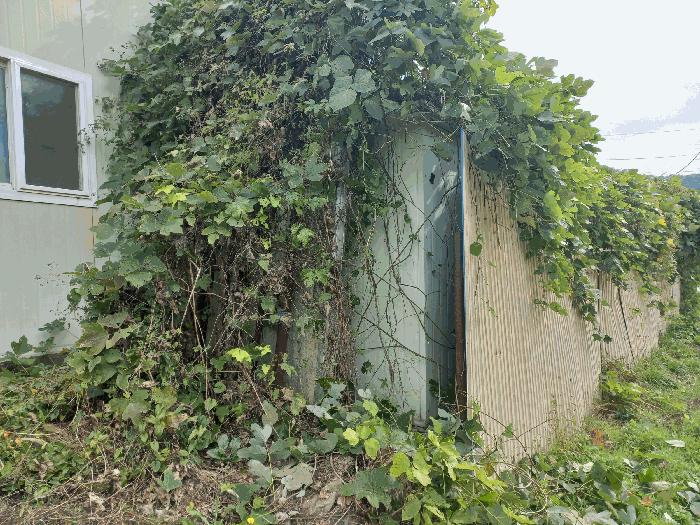 충청남도 천안시 동남구 목천읍 도장리 50 공장 경매 사진 4