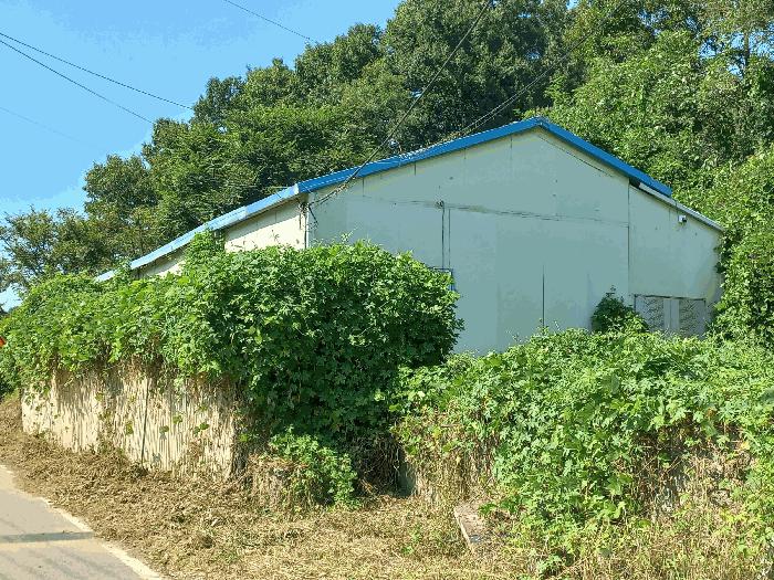 충청남도 천안시 동남구 목천읍 도장리 50 공장 경매 사진 9