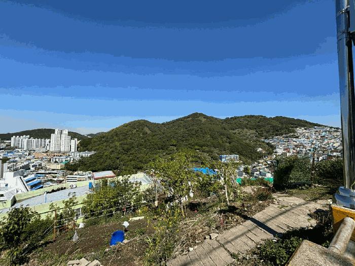 부산광역시 사하구 감천동 산72 임야 경매 사진 2