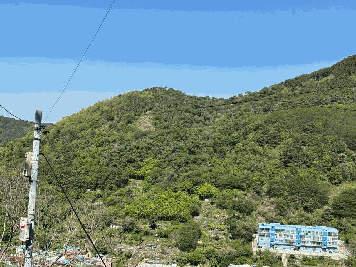 부산광역시 사하구 감천동 산72 임야 경매 사진 3