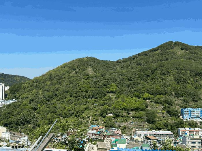 부산광역시 사하구 감천동 산72 임야 경매 사진 4