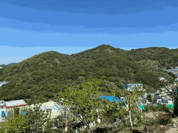부산광역시 사하구 감천동 산72 임야 경매 사진 7