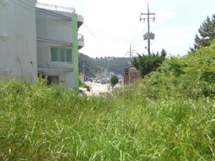 충청남도 태안군 소원면 모항리 466-15 전 경매 사진 8