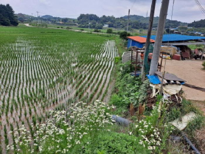 충청남도 당진시 송악읍 석포리 산58-7 임야 경매 사진 20