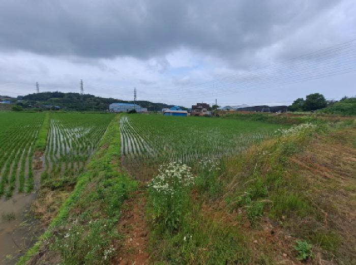 충청남도 당진시 송악읍 석포리 산58-7 임야 경매 사진 23