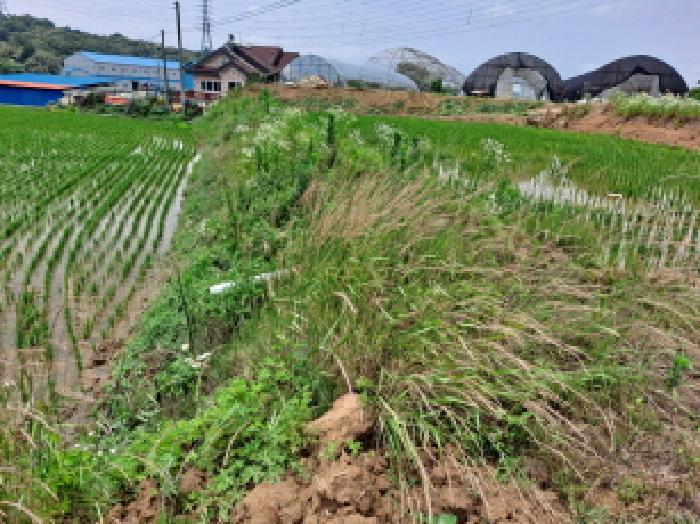 충청남도 당진시 송악읍 석포리 산58-7 임야 경매 사진 25
