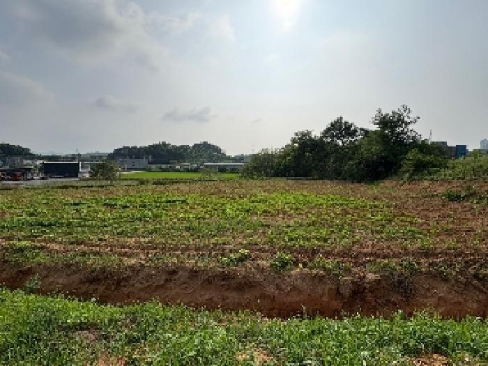 충청남도 당진시 송악읍 반촌리 716-1 전 경매 사진 10