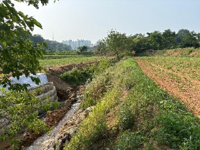 충청남도 당진시 송악읍 반촌리 716-1 전 경매 사진 13