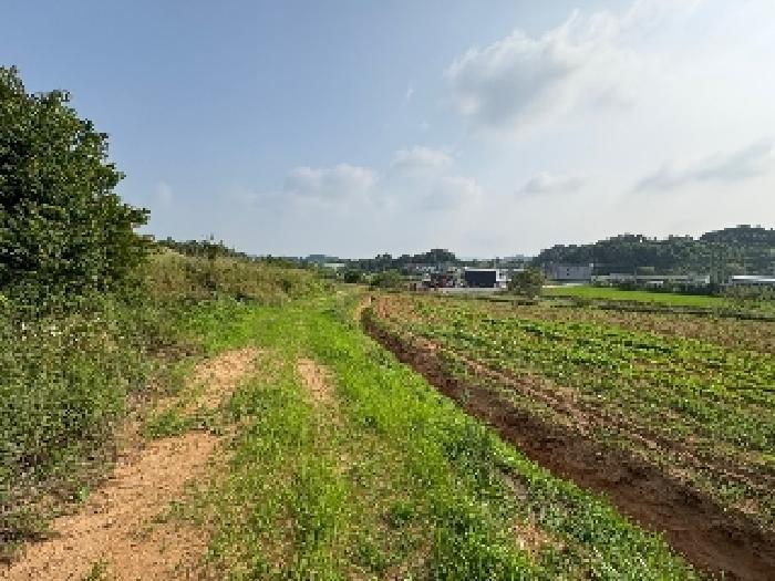 충청남도 당진시 송악읍 반촌리 716-1 전 경매 사진 8