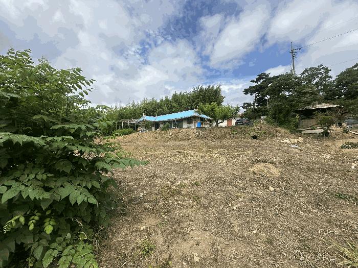 충청남도 당진시 석문면 통정리 163-2 전 경매 사진 14