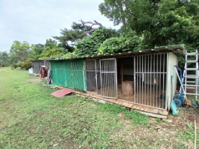 충청남도 당진시 석문면 통정리 163-2 전 경매 사진 29