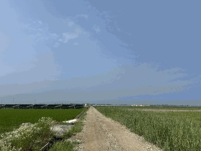 충청남도 당진시 석문면 초락도리 1375 답 경매 사진 1