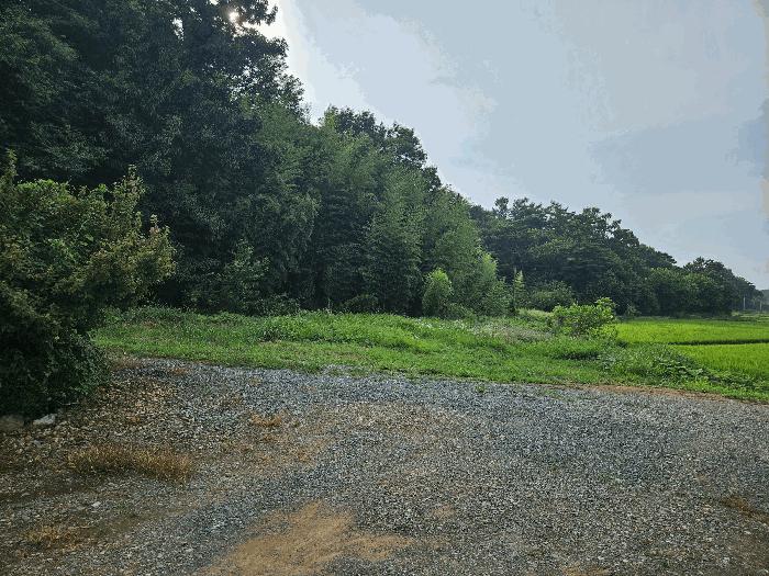 충청남도 당진시 석문면 통정리 271 전 경매 사진 1