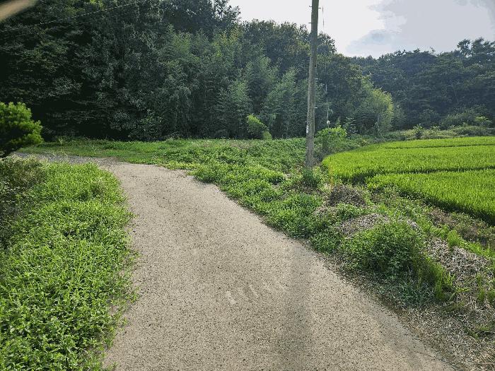 충청남도 당진시 석문면 통정리 271 전 경매 사진 2