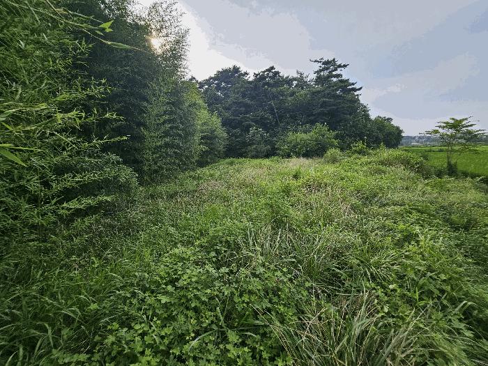 충청남도 당진시 석문면 통정리 271 전 경매 사진 3