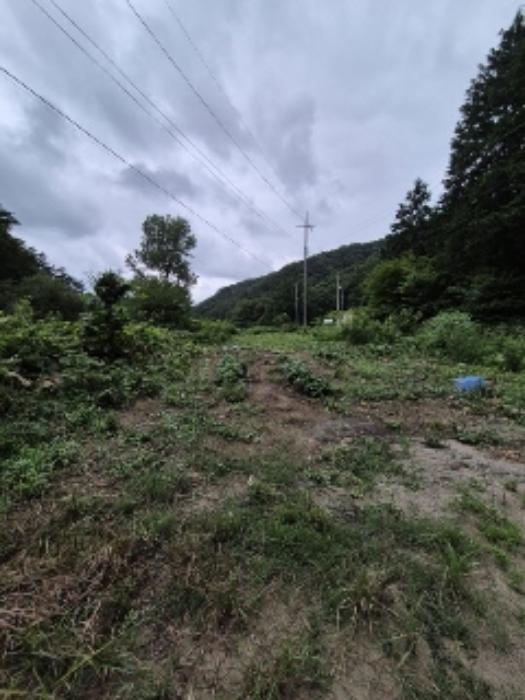 전라남도 장성군 북이면 죽청리 680 답 경매 사진 30