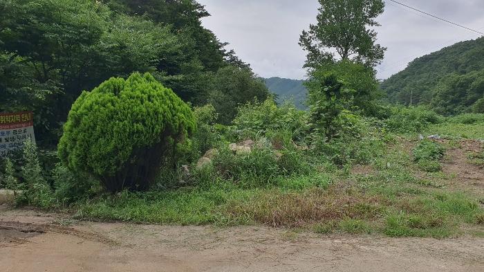 전라남도 장성군 북이면 죽청리 680-1 답 경매 사진 24