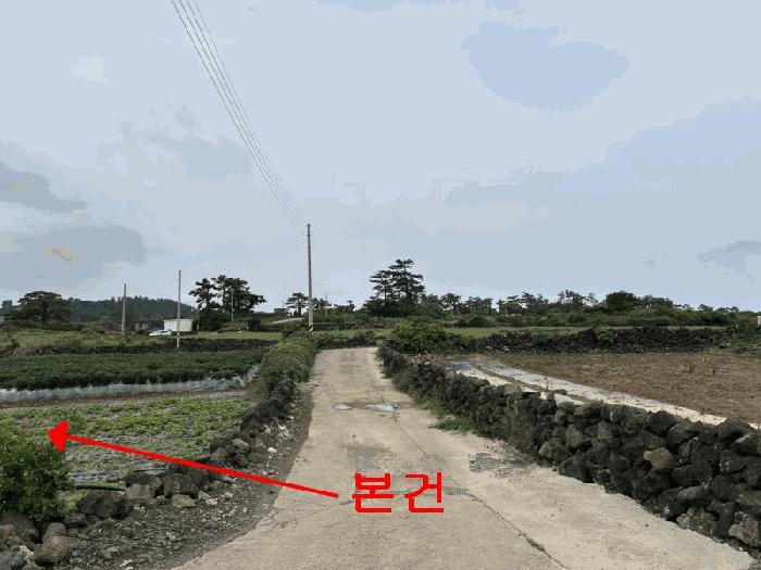 제주특별자치도 제주시 한림읍 월령리 754-2 전 경매 사진 5