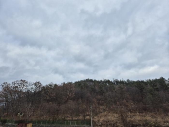 전라남도 화순군 도곡면 죽청리 산15-23 임야 경매 사진 5