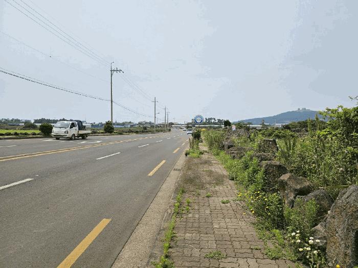 제주특별자치도 서귀포시 대정읍 상모리 2822 전 경매 사진 5