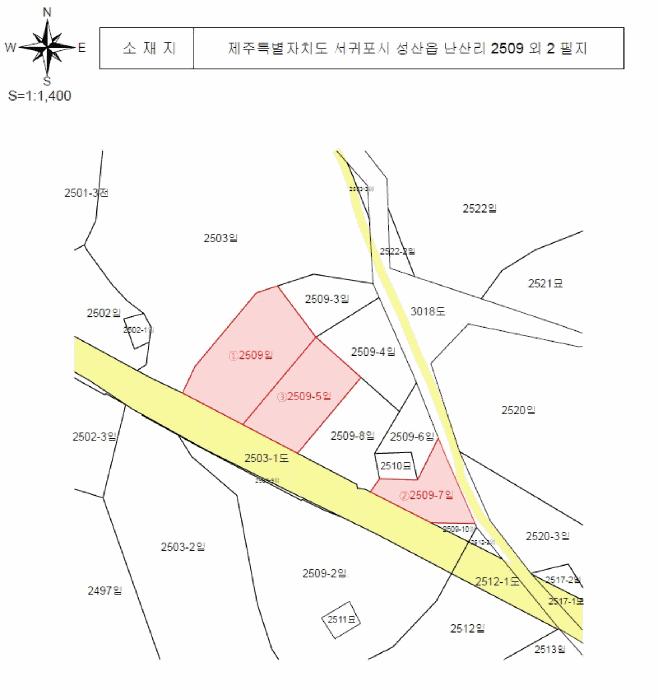 제주특별자치도 서귀포시 성산읍 난산리 2509 임야 경매 사진 19