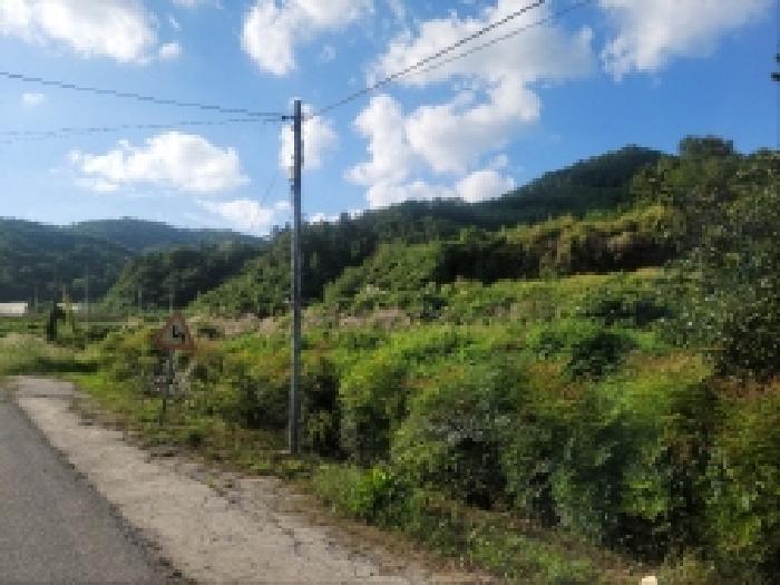 전라남도 보성군 조성면 신월리 513 답 경매 사진 6