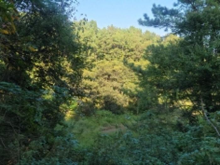 전라남도 보성군 벌교읍 대포리 545 전 경매 사진 21