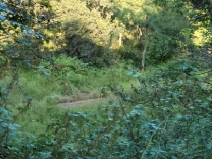 전라남도 보성군 벌교읍 대포리 545 전 경매 사진 22